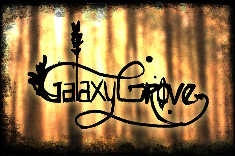 Galaxy Grove logo